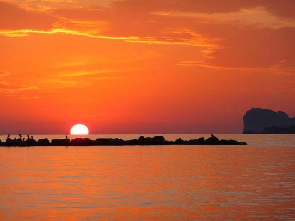 Casa Vacanze San Michele Alghero Eksteriør bilde